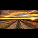 Topher featuring Angie Orb - Tomorrow Awaits Us
